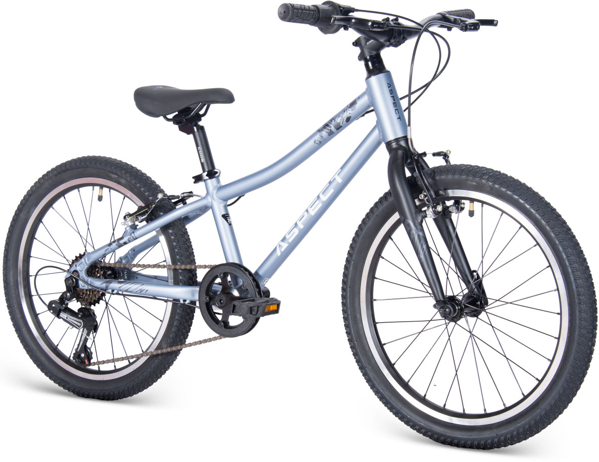 Купить ASPECT Champion 20 2025