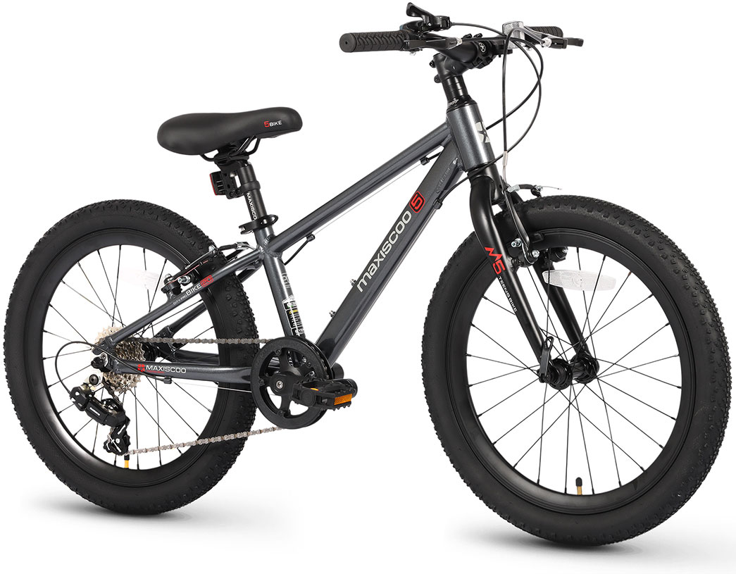 Купить MAXISCOO 5Bike 20 2026