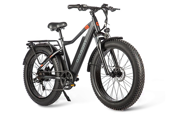 Купить Электровелосипед GELBERT Pegas 1 PRO