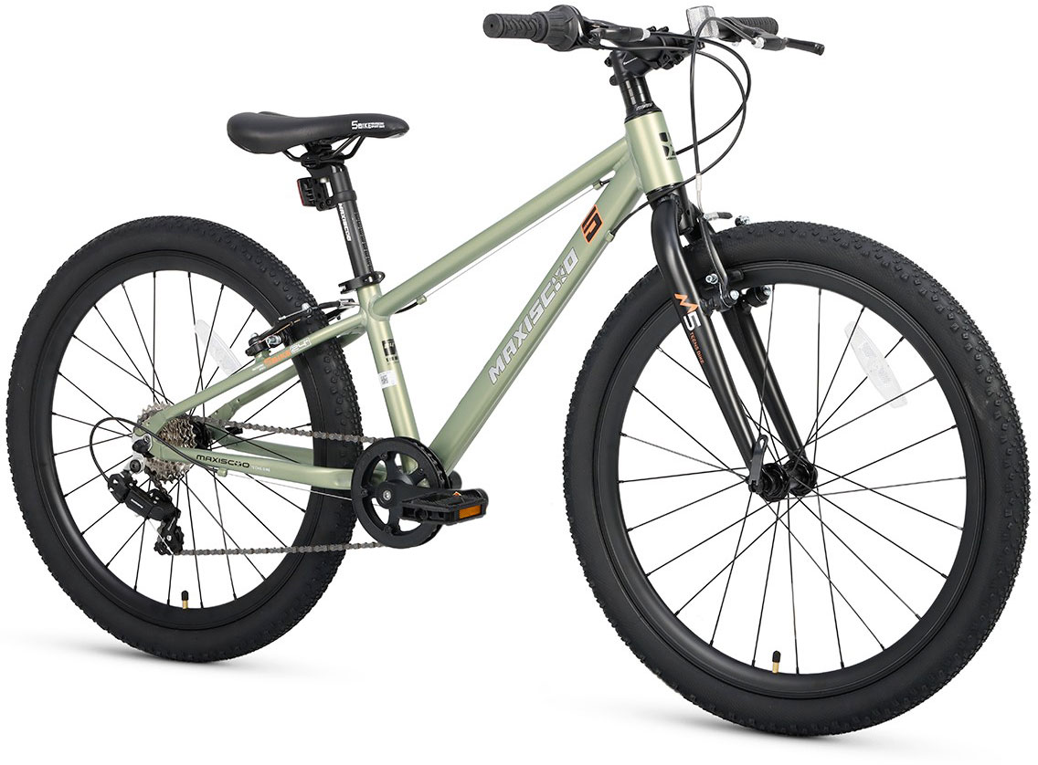 Купить MAXISCOO 5Bike 24 2025