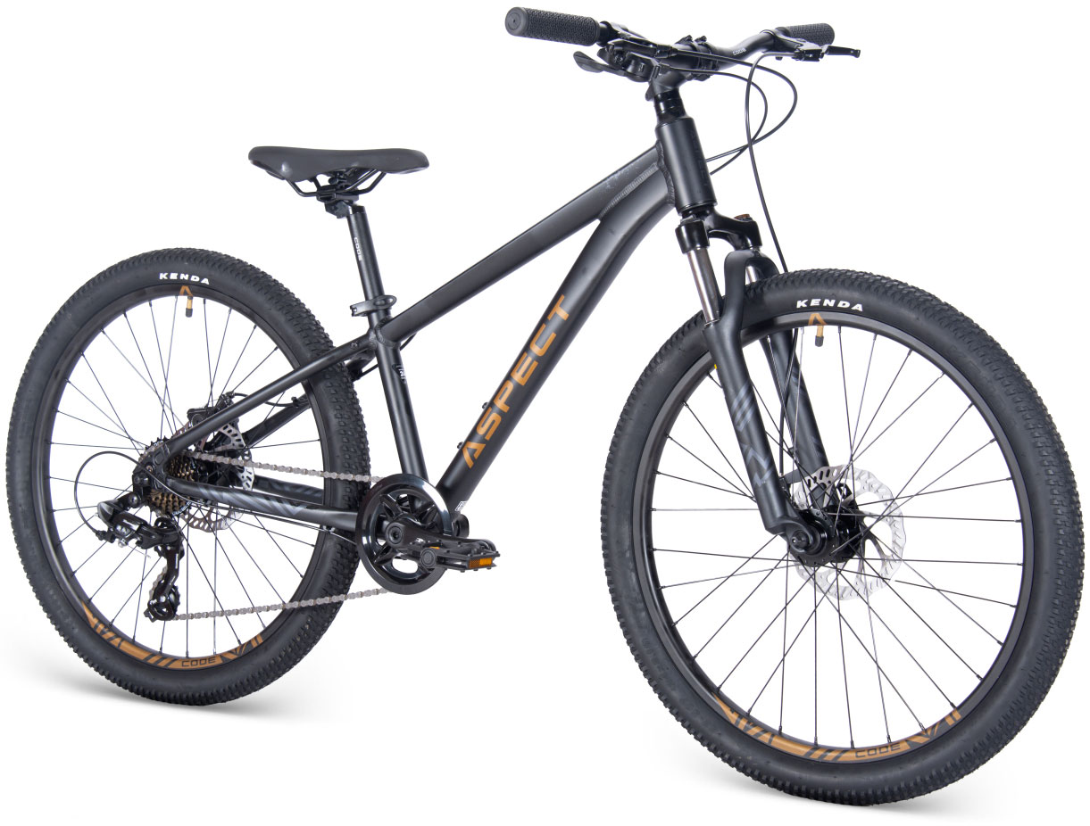 Купить ASPECT Winner 24 2025