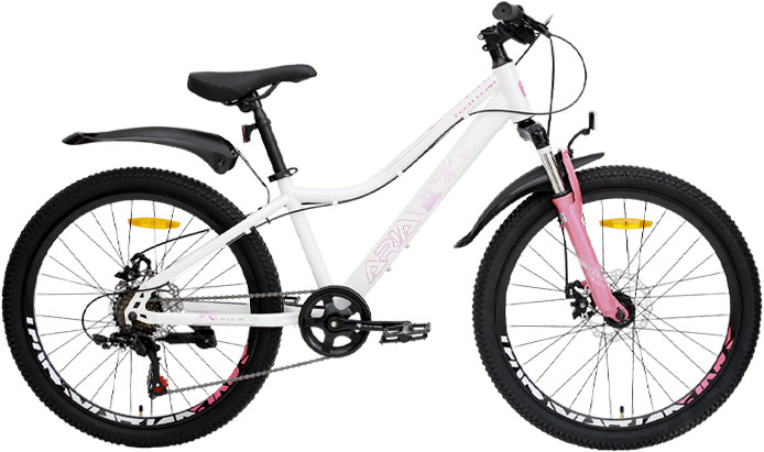 Купить TECH TEAM Aria 24 disc 2024