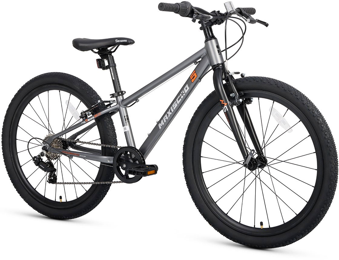 Купить MAXISCOO 5Bike 24 2025