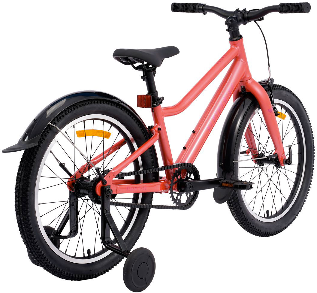 Купить ALPINEBIKE Pegas 1-20 2026