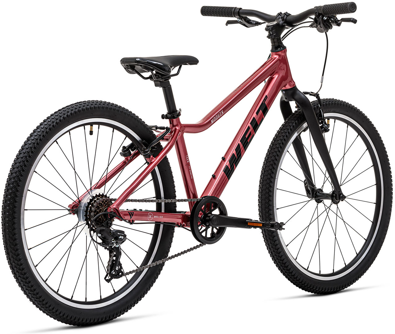 Купить WELT Moovix 1.0 V 24 2025