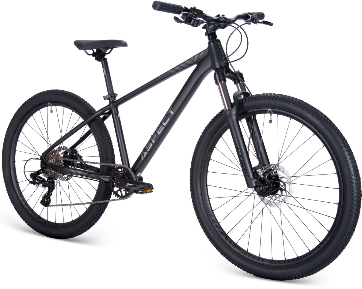 Купить ASPECT Nickel 26 2025