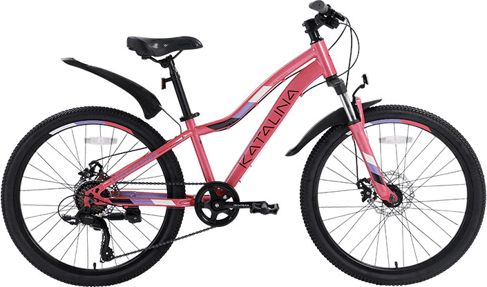 Купить TECH TEAM Katalina 24 2024