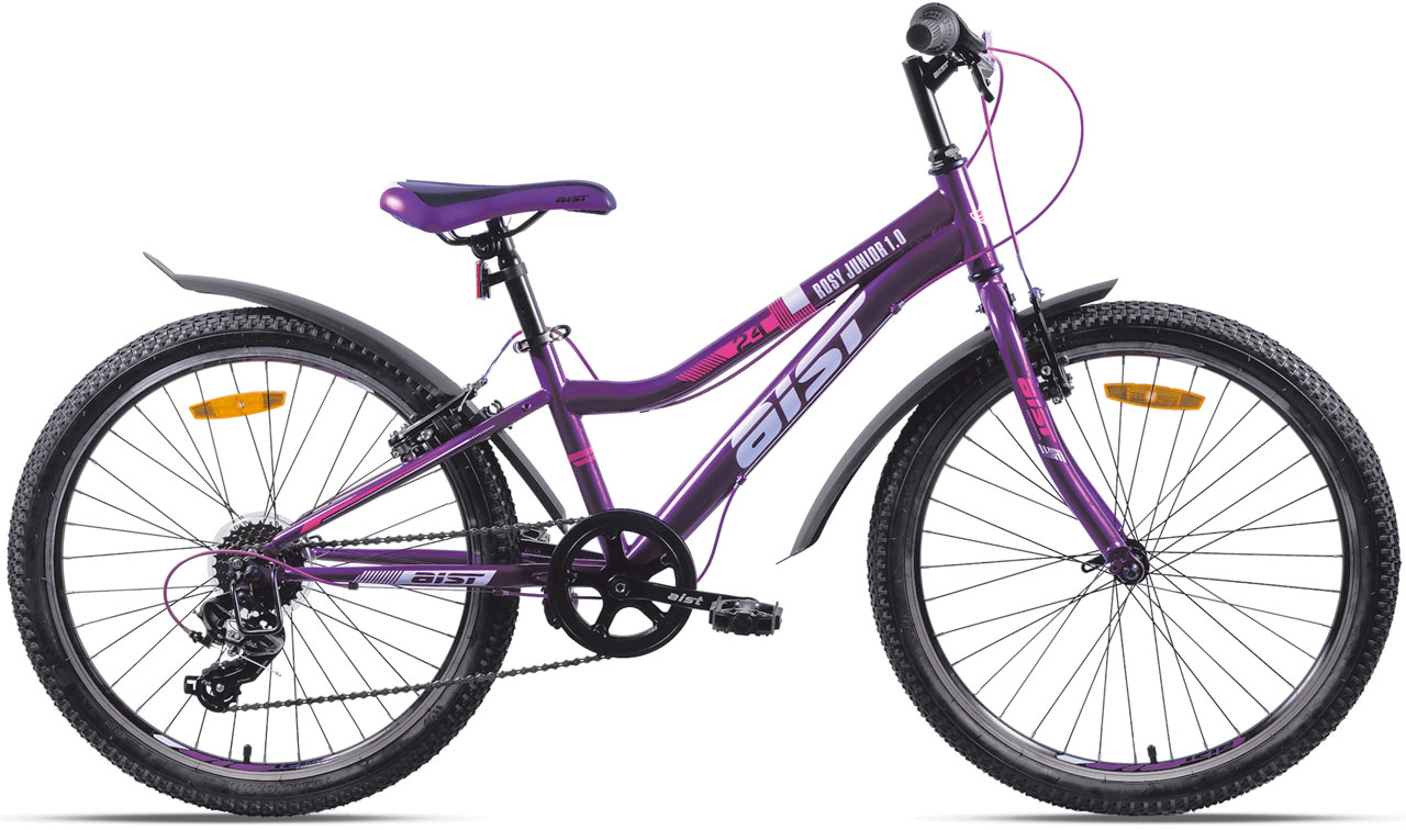Купить AIST Rosy Junior 1.0 24 2024 фиолетовый