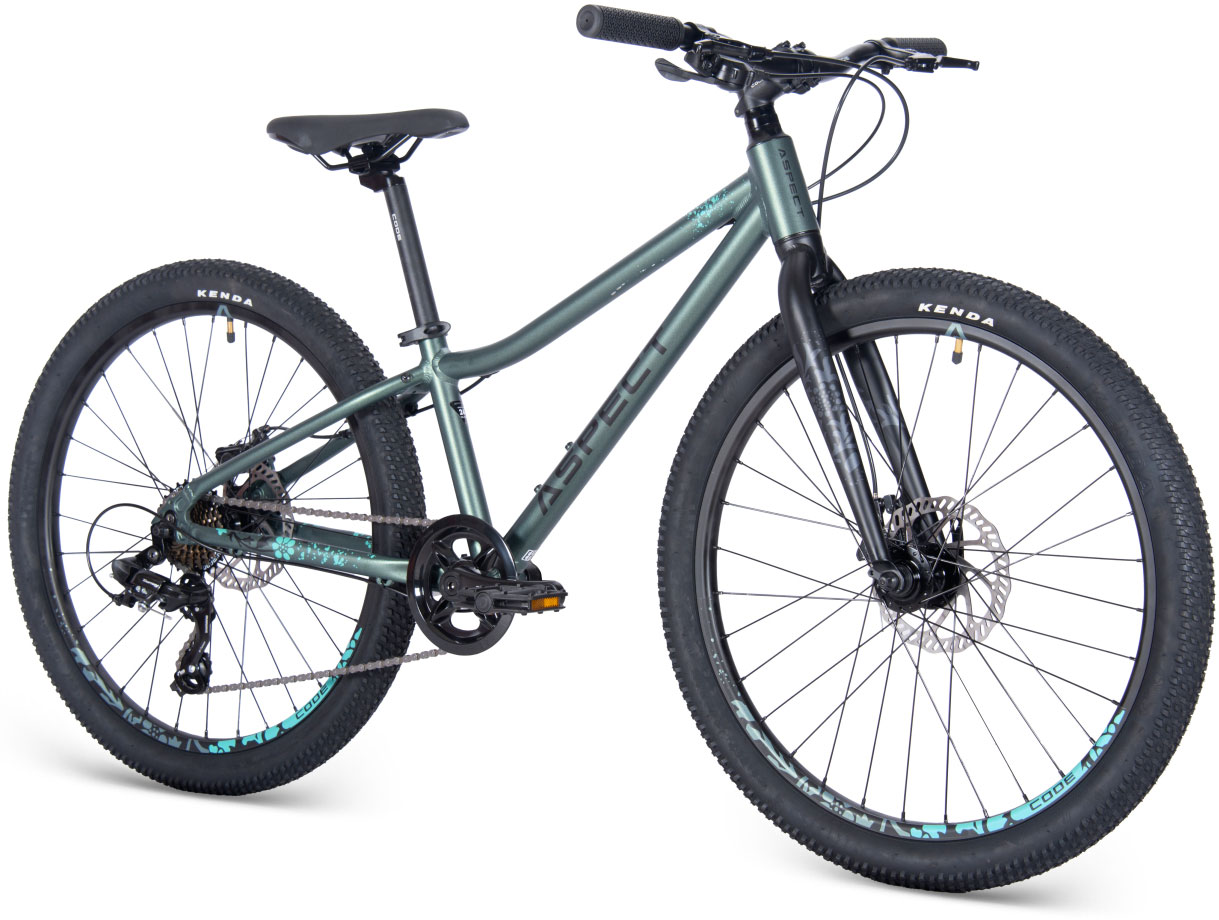 Купить ASPECT Angel Lite 24 2025