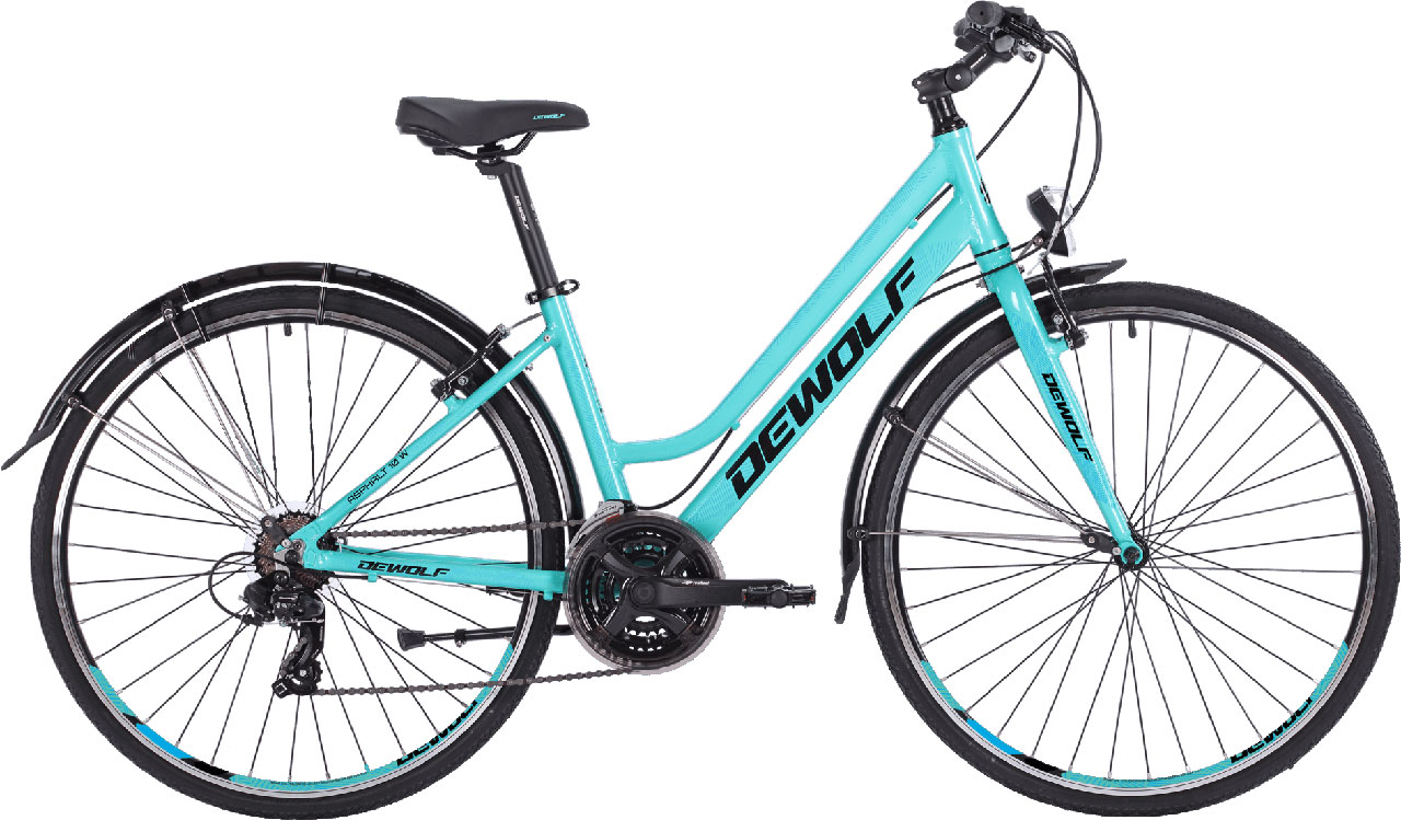 Купить DEWOLF Asphalt 10 W 2021