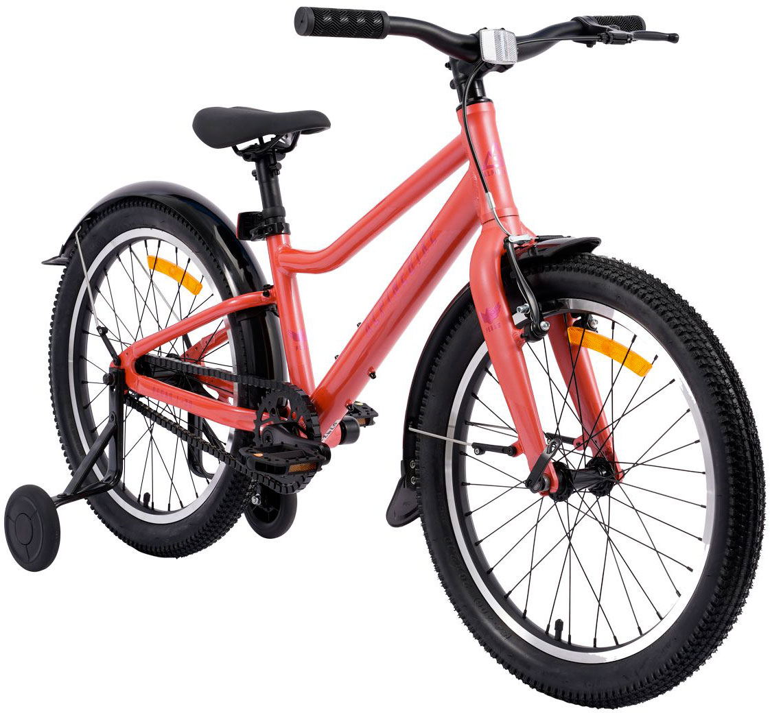 Купить ALPINEBIKE Pegas 1-20 2026