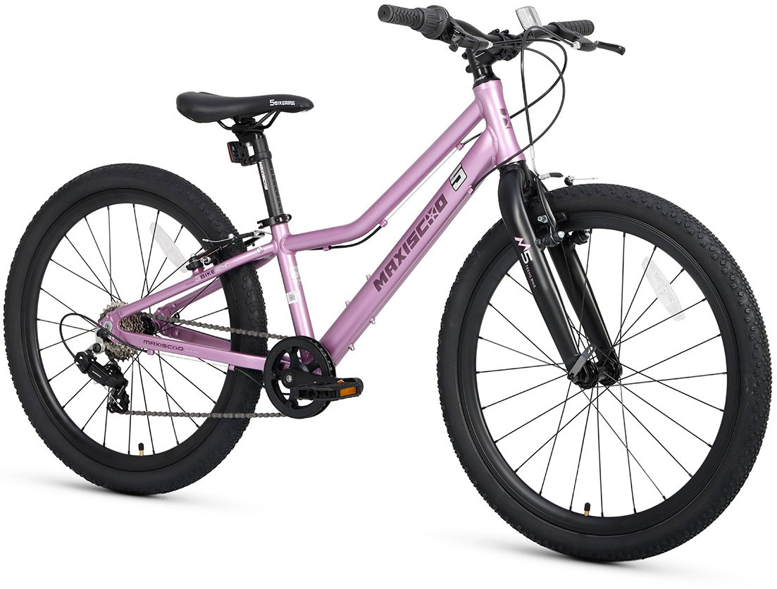 Купить MAXISCOO 5Bike 24 2025