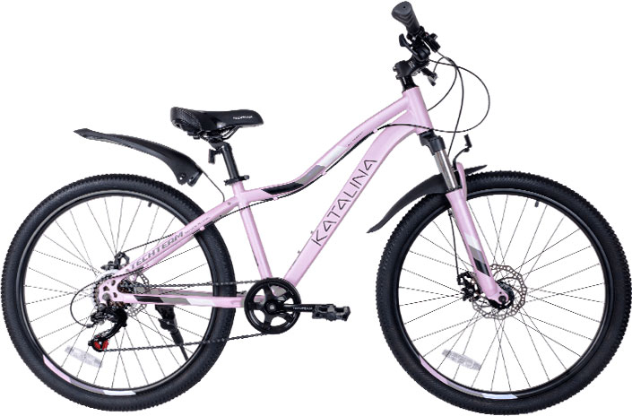 Купить TECH TEAM Katalina 26 2022