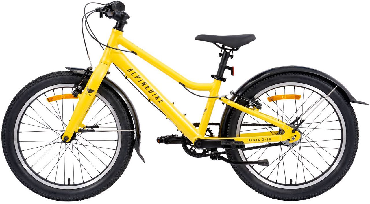 Купить ALPINEBIKE Pegas 3-20 2026