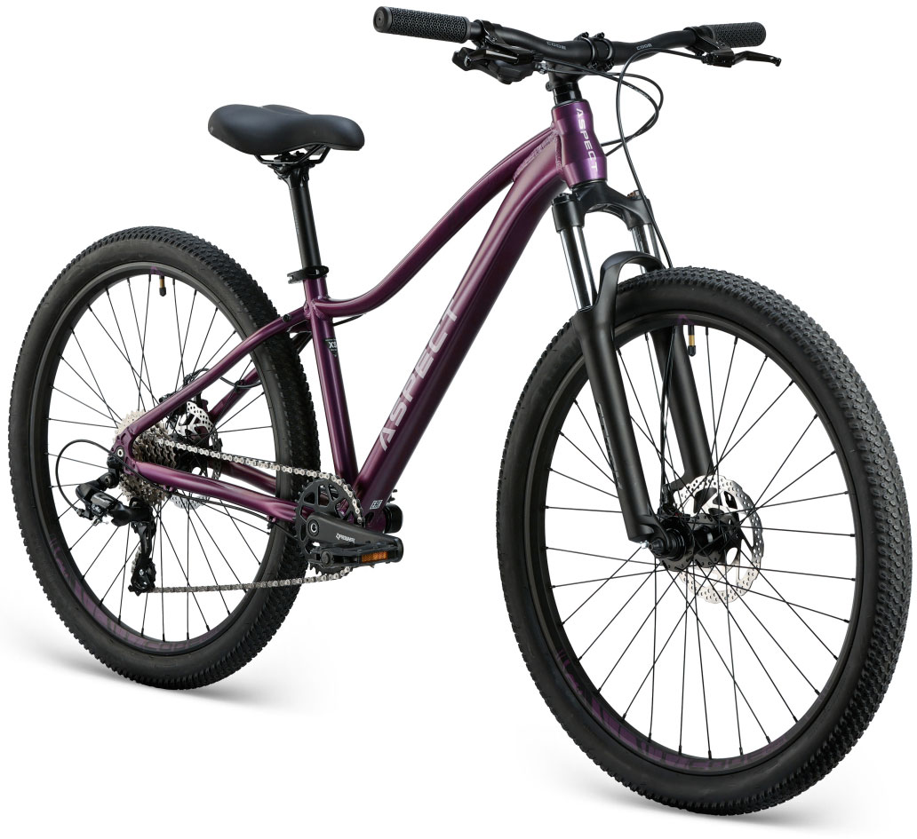 Купить ASPECT Alma 26 2025