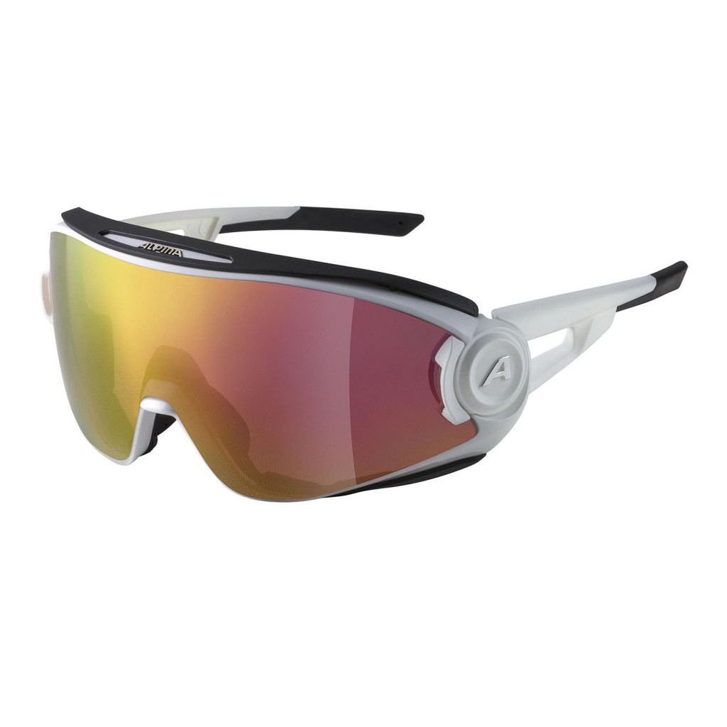Купить Очки ALPINA 5W1Ng Q+Vm Белый матовый /Quattroflex+Varioflex Красный глянец