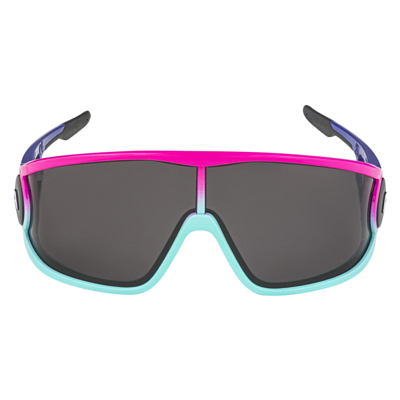 Купить Очки ALPINA Legend фиолетово-голубой глянец/черный