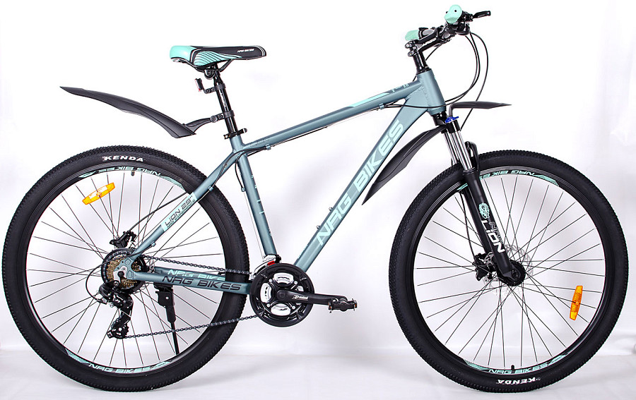 Купить NRG BIKES Lion 29 2025