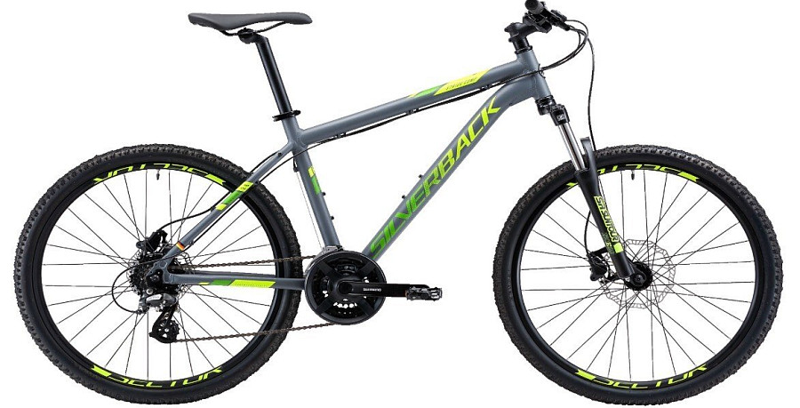 Купить SILVERBACK STRIDE 26 Comp 26 2019