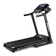 Купить Беговая дорожка BH FITNESS Pioneer R3 TFT