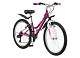 Купить SCHWINN Breaker 24 girl 2022