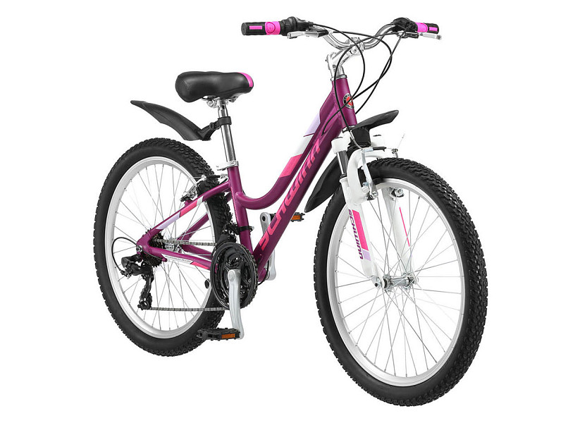 Купить SCHWINN Breaker 24 girl 2022