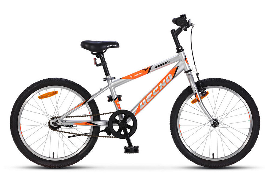 Купить ДЕСНА Феникс 20 2021