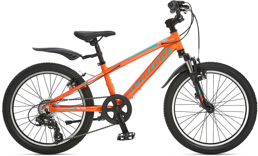 Купить SCHWINN Mesa 20 2022