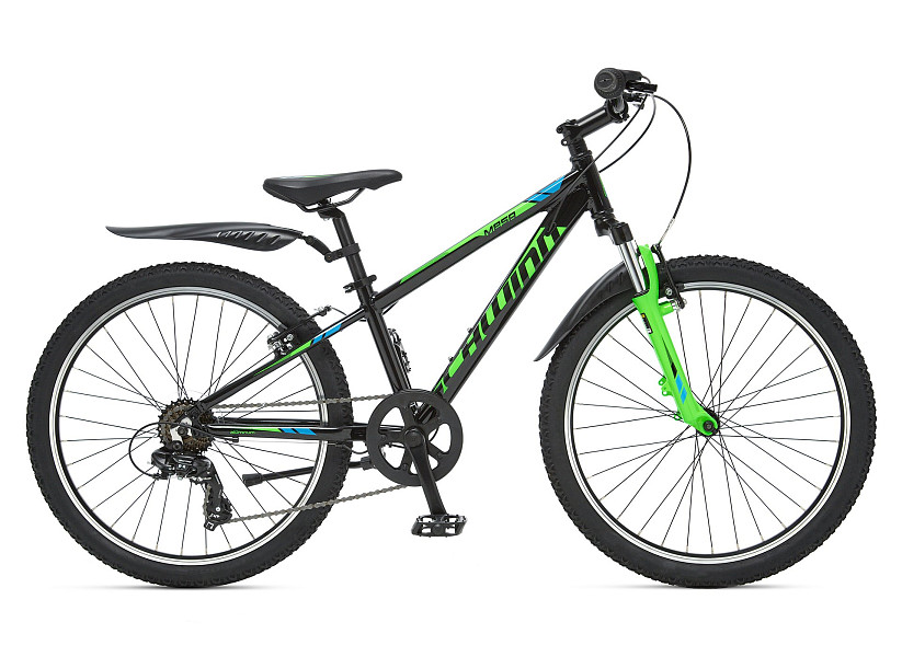 Купить SCHWINN Mesa 24 2020