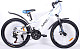 Купить NRG BIKES Gecko 24