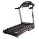 Купить Беговая дорожка BH FITNESS Pioneer R7