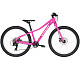 Купить TREK Roscoe 24 2020