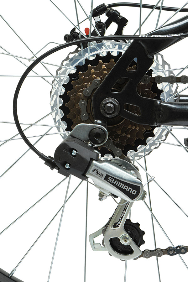 Купить FORWARD Titan 24 1.0 2022