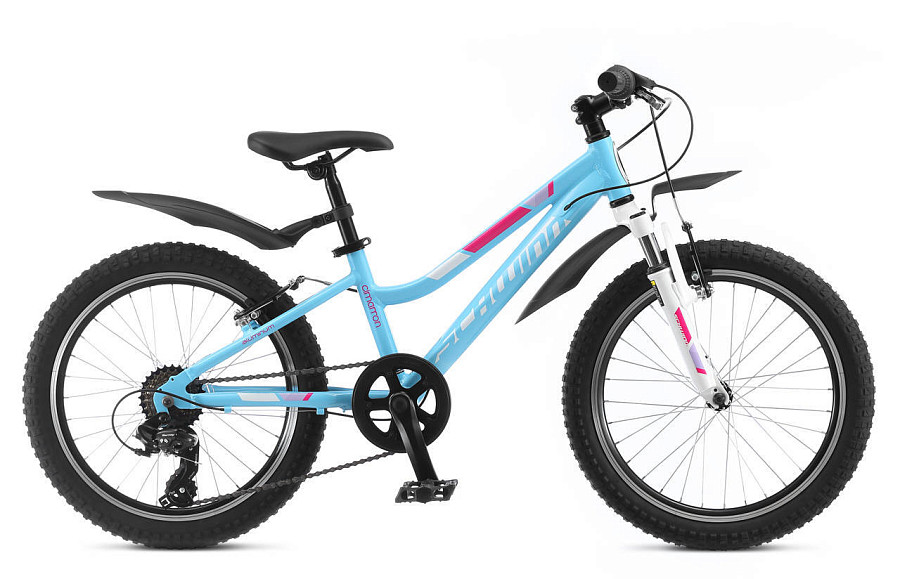 Купить SCHWINN Cimarron 2019