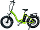 Купить Электровелосипед ELBIKE Taiga 1 Vip C31 500W 48V 13Ah, зеленый