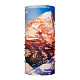 Купить Бандана BUFF Mountain Collection Original Grand Teton