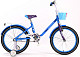 Купить NRG BIKES Swan 20