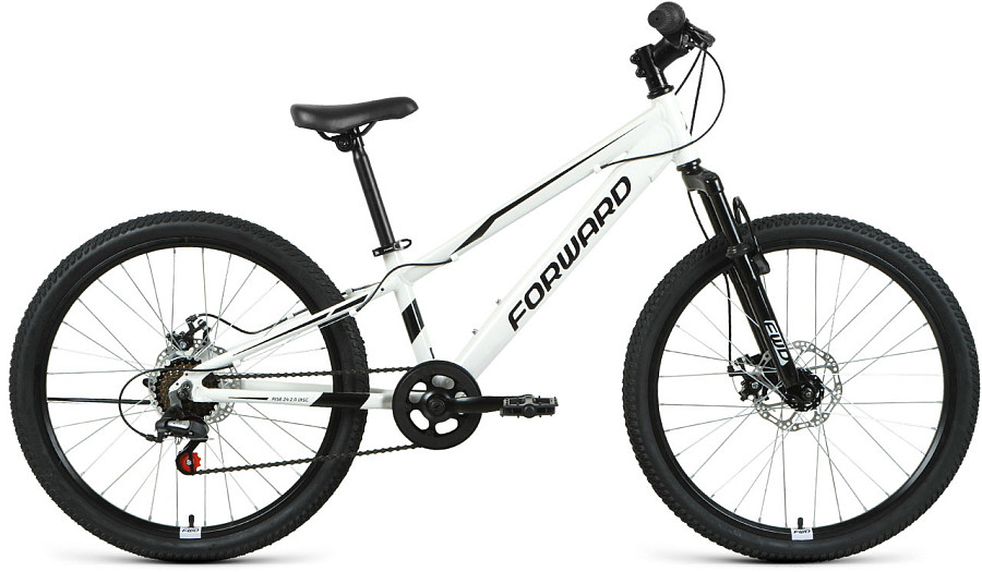 Купить FORWARD Rise 24 2.0 Disc 2021